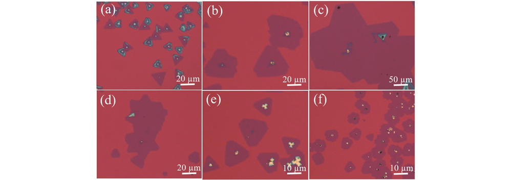 Morphology of monolayer MoS2(1-x)Se2x alloy grown by different mSe/mS under optical microscope. (a) mSe/mS = 1/11; (b) mSe/mS = 1/5; (c) mSe/mS = 1/3; (d) mSe/mS = 1/2; (e) mSe/mS = 5/7; (f) mSe/mS = 1/1