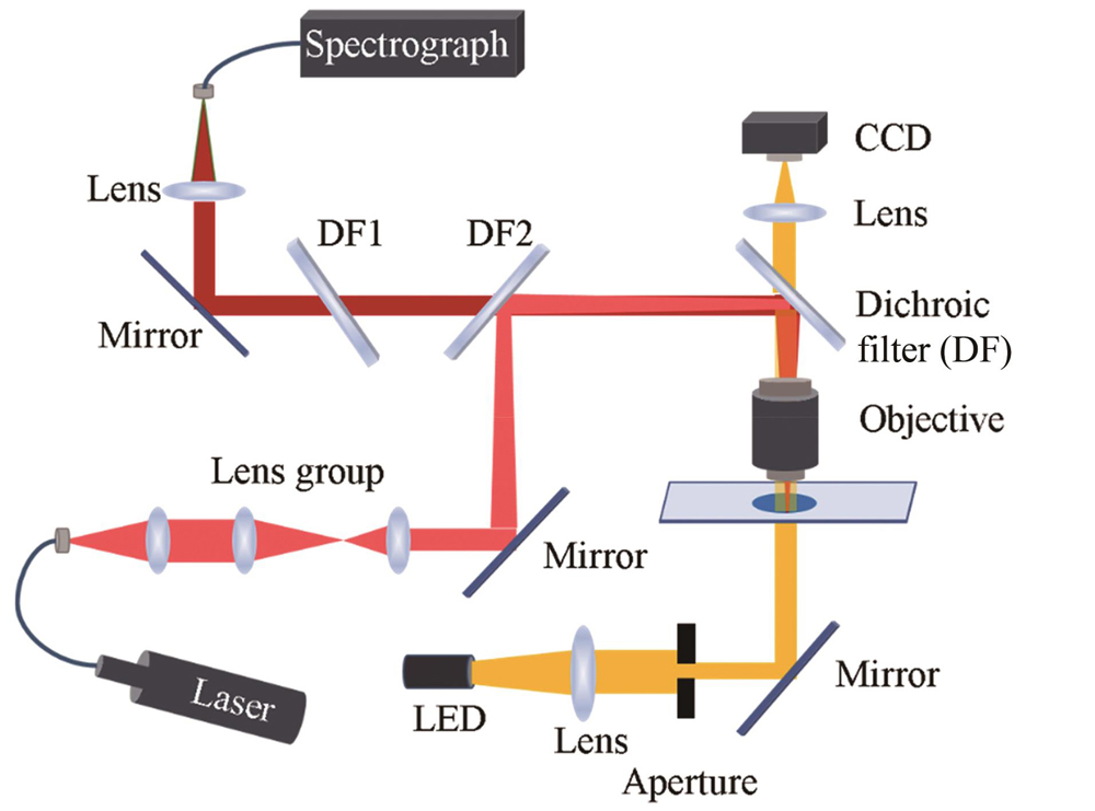 Diagram of optical manipulation microscopic Raman system