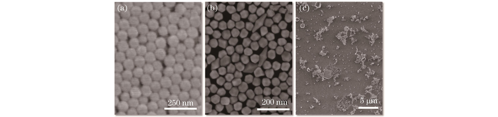 SEM images of experimental materials. (a) PS nanoparticles; (b) gold nanoparticles; (c) gold nanoparticle aggregates