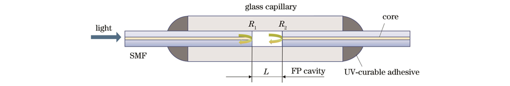 Typical structure of fiber-optic FP sensor