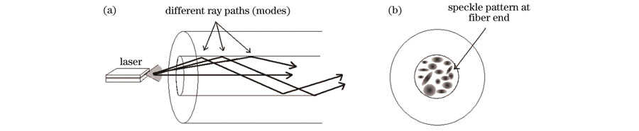 Mode interference in MMF. (a) Ray propagation in MMF; (b) mode interference pattern at fiber end