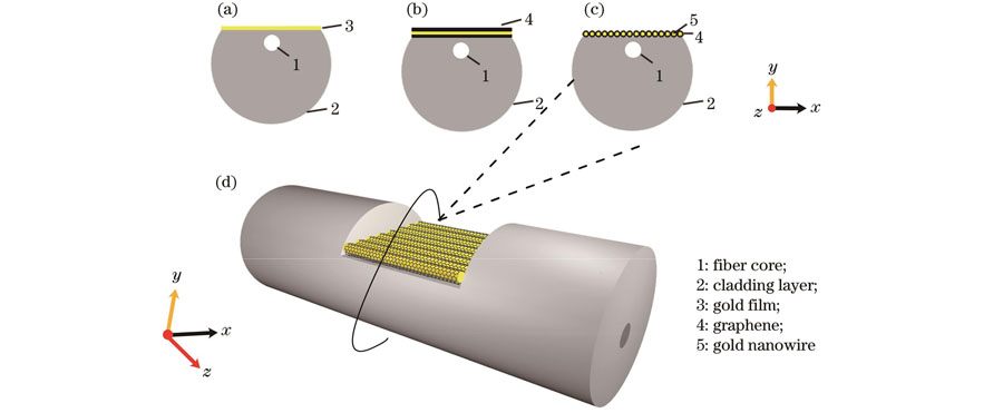 Schematic diagrams of D-type plasmonic optical fiber sensors. Its side is polished and coated with (a) gold film structure,(b) graphene-gold film-graphene structure, and (c) graphene-metal nanowire array structure; (d) three-dimensional structure diagram