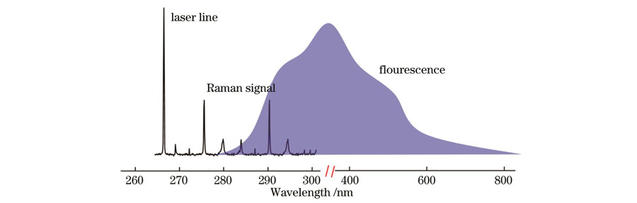 Raman and fluorescence spectral ranges (excitation light wavelength is 266 nm)