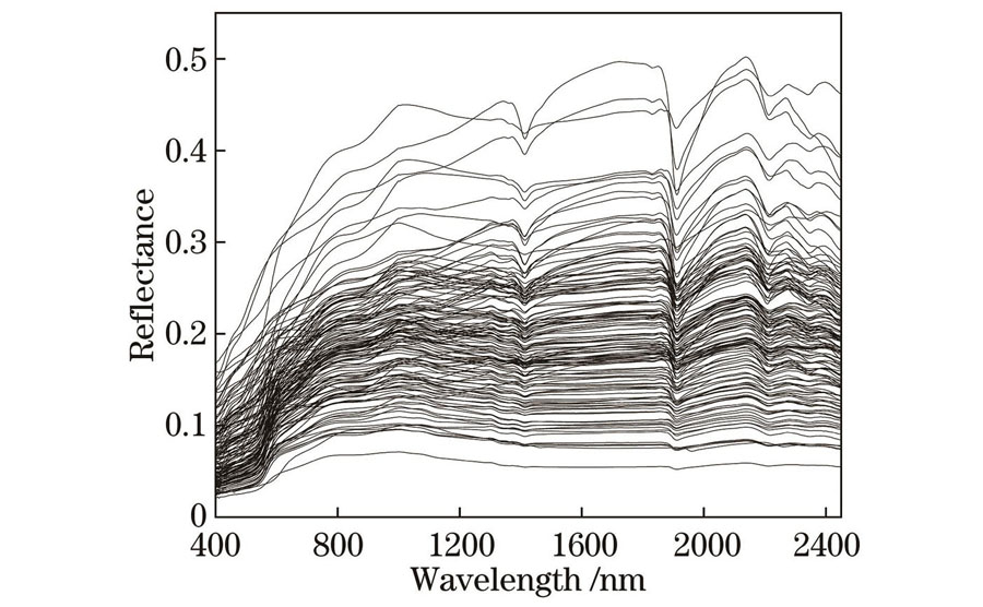 Original spectral reflectance curves of all soil samples