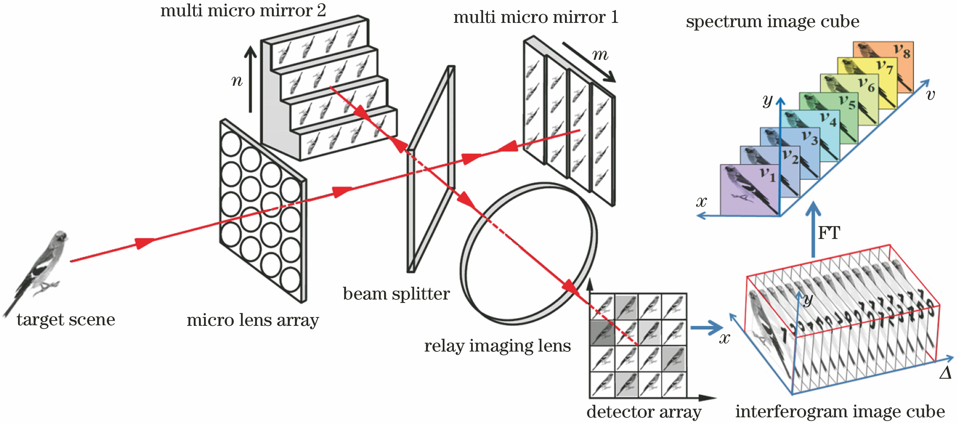 Schematic diagram of snapshot interference imaging spectrometer