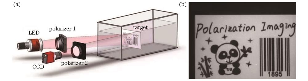 Underwater imaging experiment. (a) Experimental setup; (b) intensity image in clear water