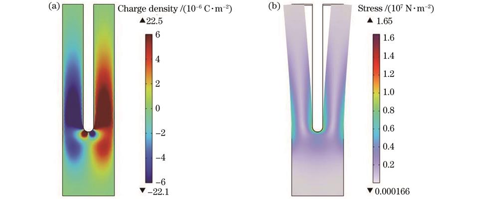 Simulation results of commercial QTF. (a) Surface charge density distribution; (b) stress distribution