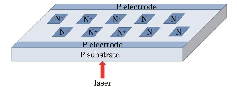 Schematic diagram of photosensitive element array