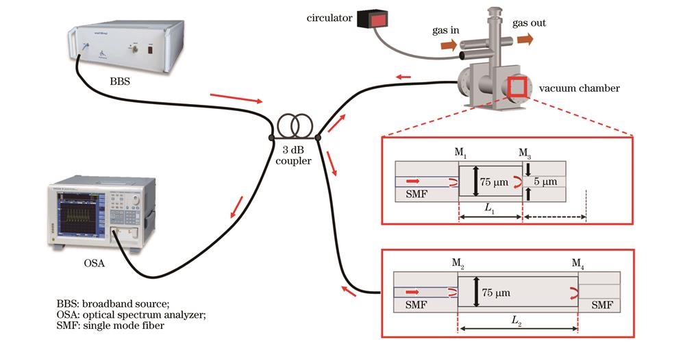 Schematic diagram of gas pressure sensing device