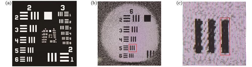 Magnification calibration experimental results. (a) Test target 1951 USAF pattern; (b) element intensity image of group 6; (c) locally magnified intensity image of the 5th pair of lines