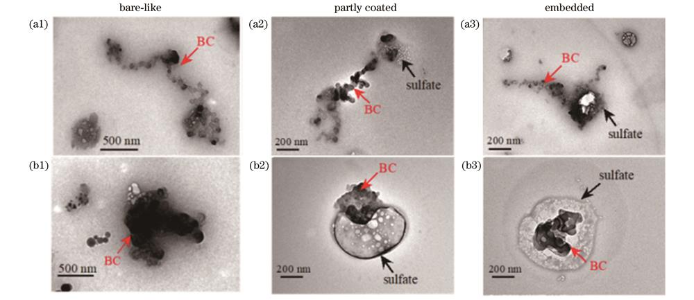 Transmission electron microscope images of loose and compact BC single particles with different mixing structures. (a1)-(a3) Loose BC particles; (b1)-(b3) compact BC particles