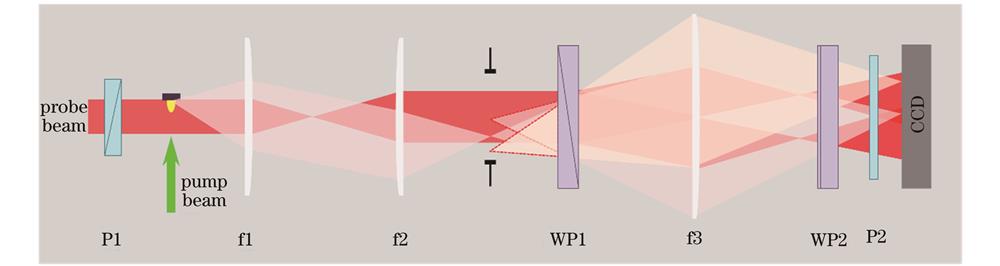 Illustration of compact polarization interferometer optical path