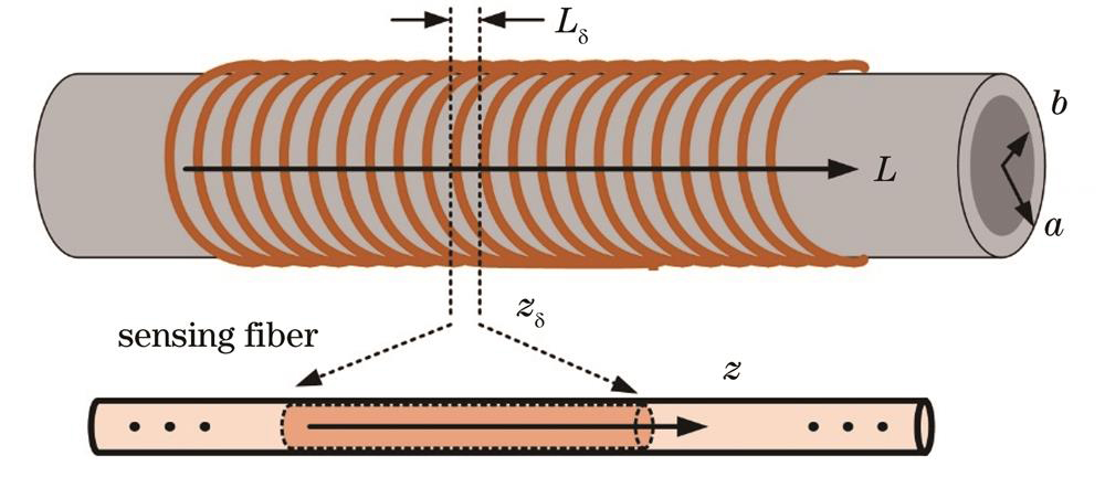 Schematic diagram of hollow cylinder structure and optical fiber sensitization