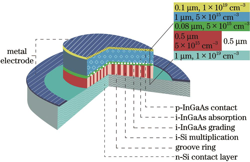 3D structural diagram of charge-free layer InGaAs/Si APD