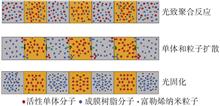 Study on holographic storage properties of fullerene-doped photopolymer