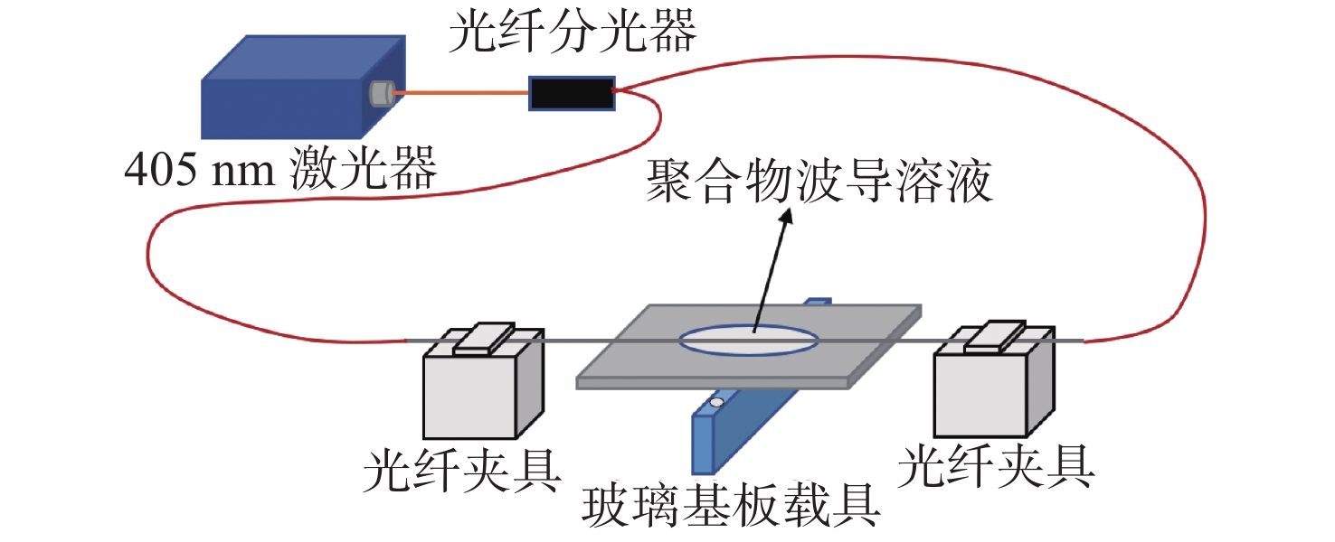 The optical set-up for polymer waveguide fabrication