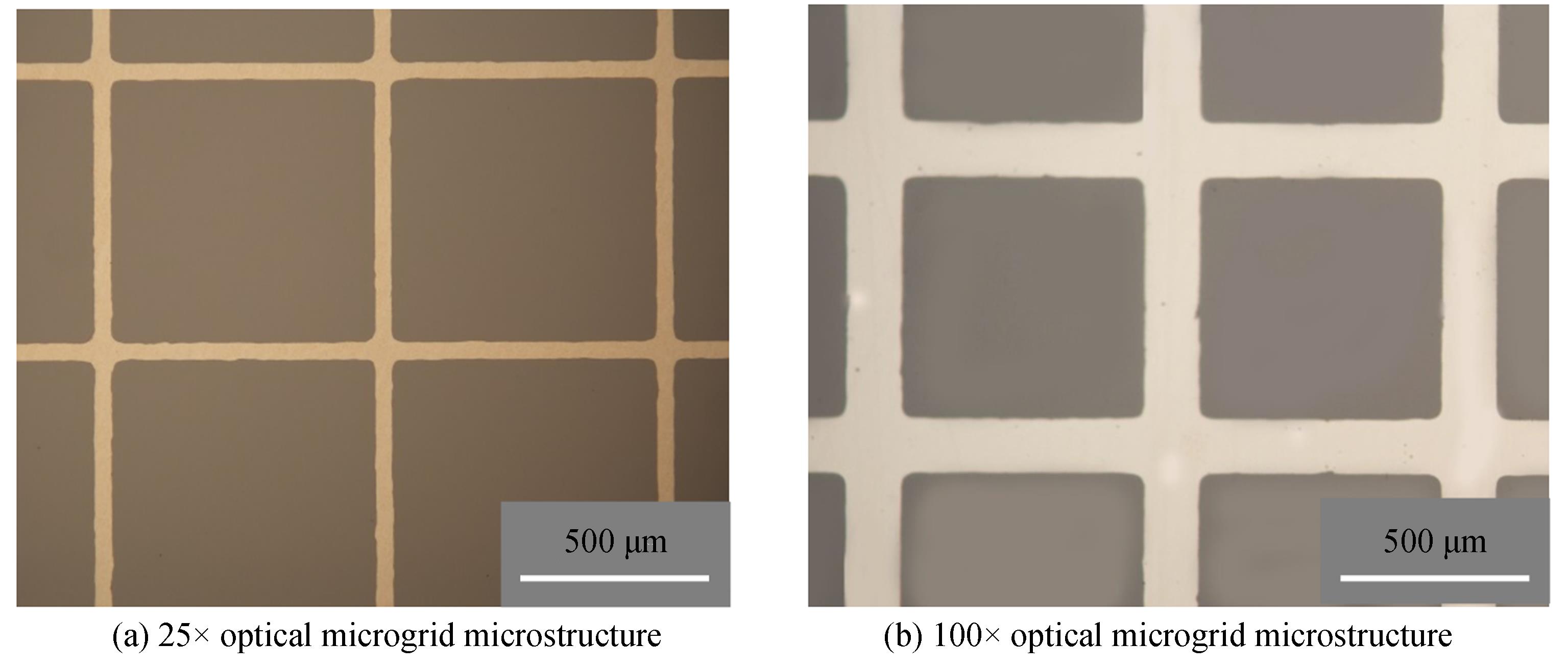 Microstructure of metal grid film