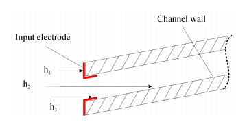 Diagram of channel of MCP input end