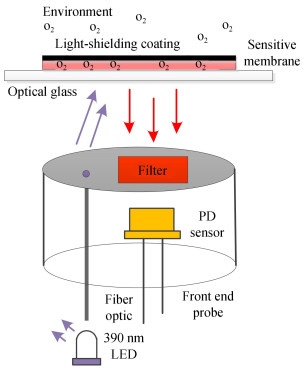Structure of optical path