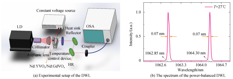 Experimental setup of the DWL and the output spectrum of the power-balanced DWL