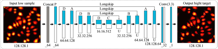 Overall USENet structure