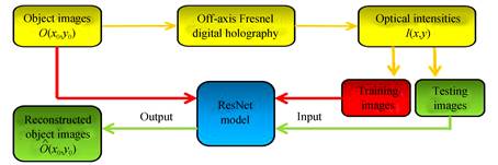 Method for off⁃axis Fresnel digital hologram reconstruction based on deep learning