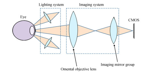 Diagram of light path structure of fundus camera based on non-coaxial ring array illumination
