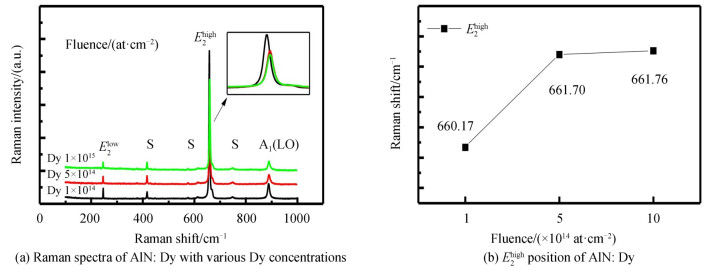 Raman spectra of Dy3+ single doped AlN film samples