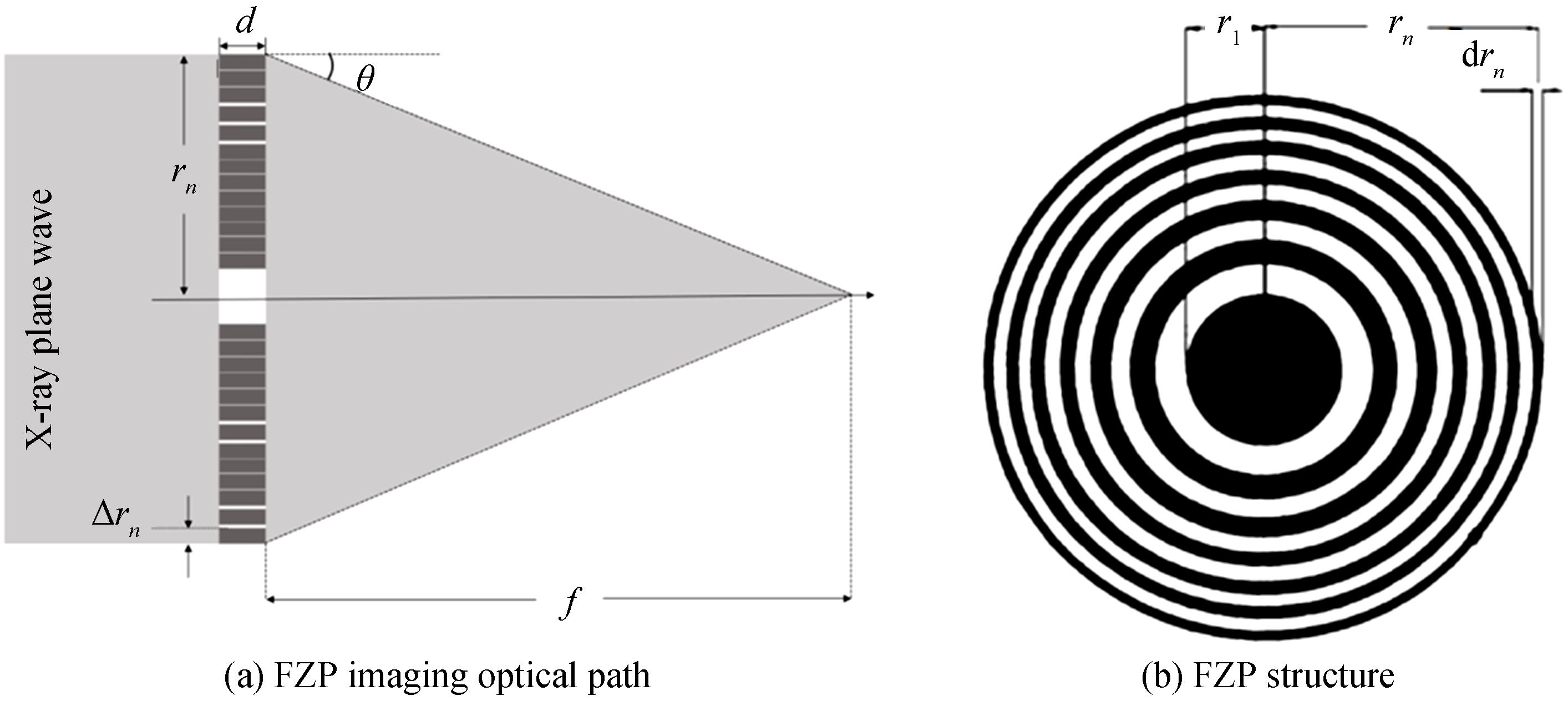 Schematic diagrams of the FZP structure and imaging optical path