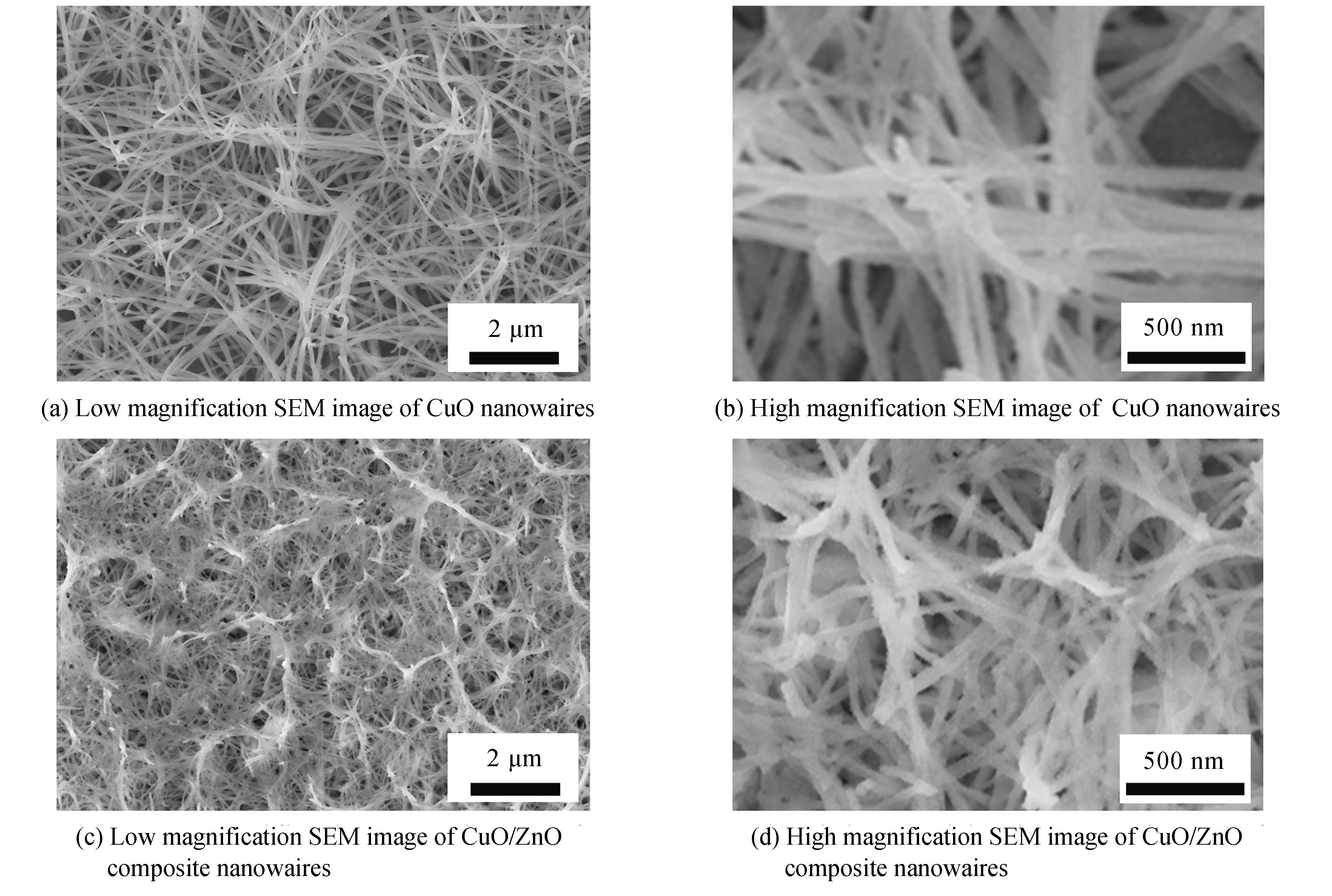The SEM images of CuO nanowires and CuO/ZnO composite nanowires