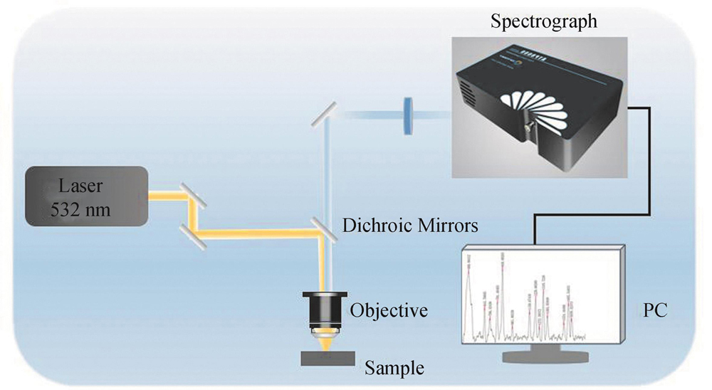 Typical laboratory Raman spectroscopy system