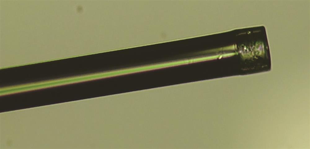 Micrograph of the proposed FPI sensing probe