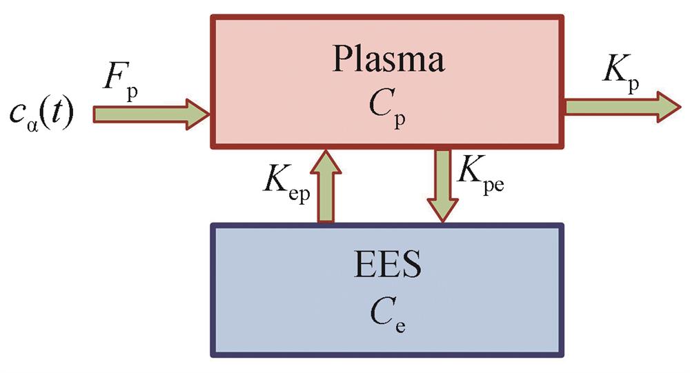Two-compartmental model of ICG pharmacokinetics