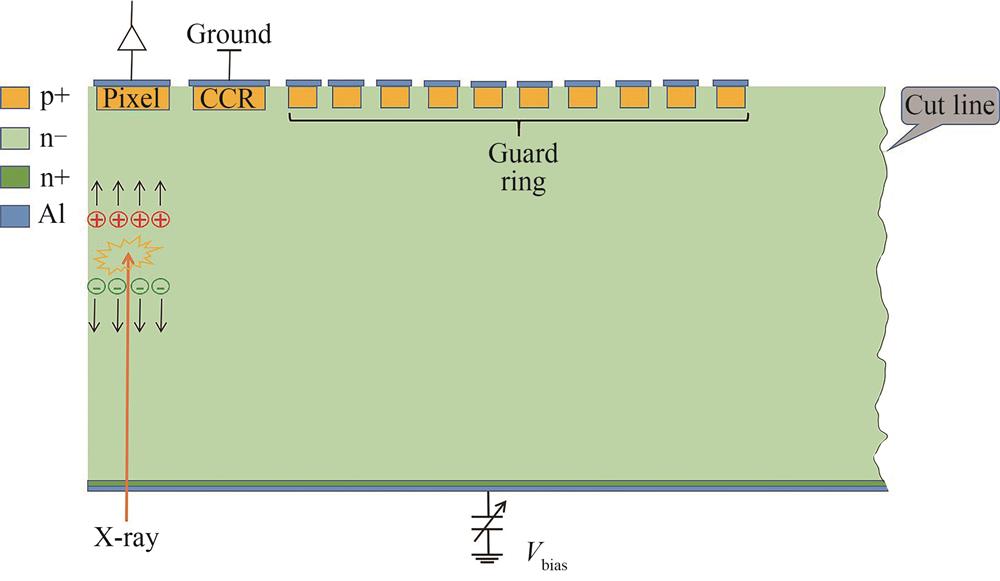 Schematic of the edge position of the sensor