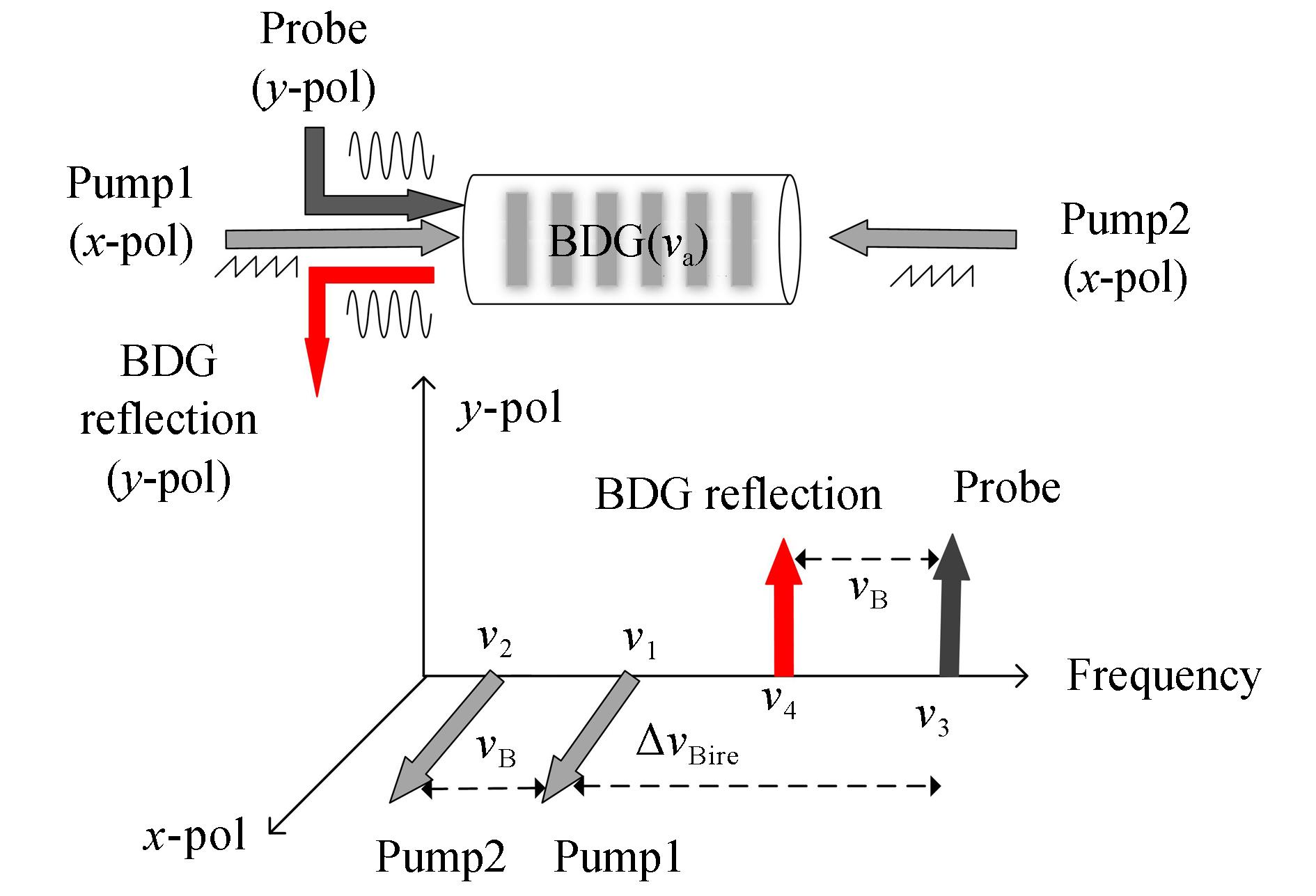 The excitation and detection of Brillouin dynamic grating and operation scheme