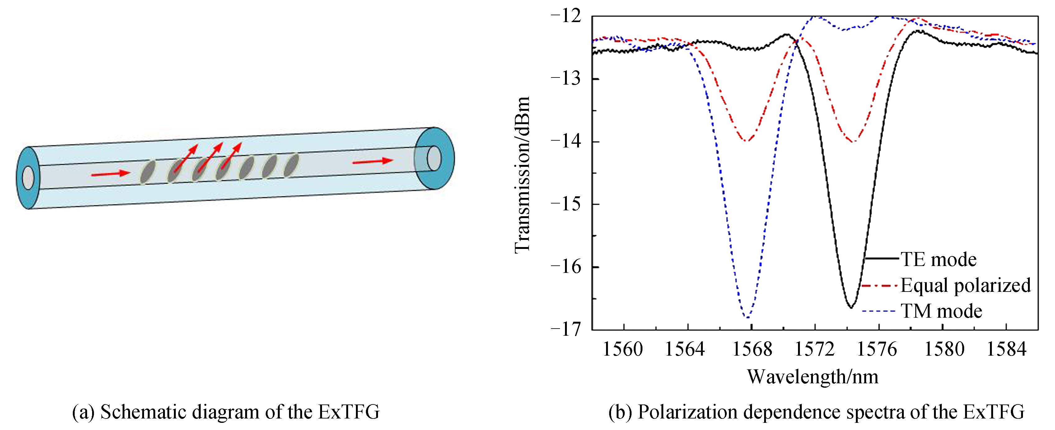 Schematic diagram and polarization dependence spectra of ExTFG