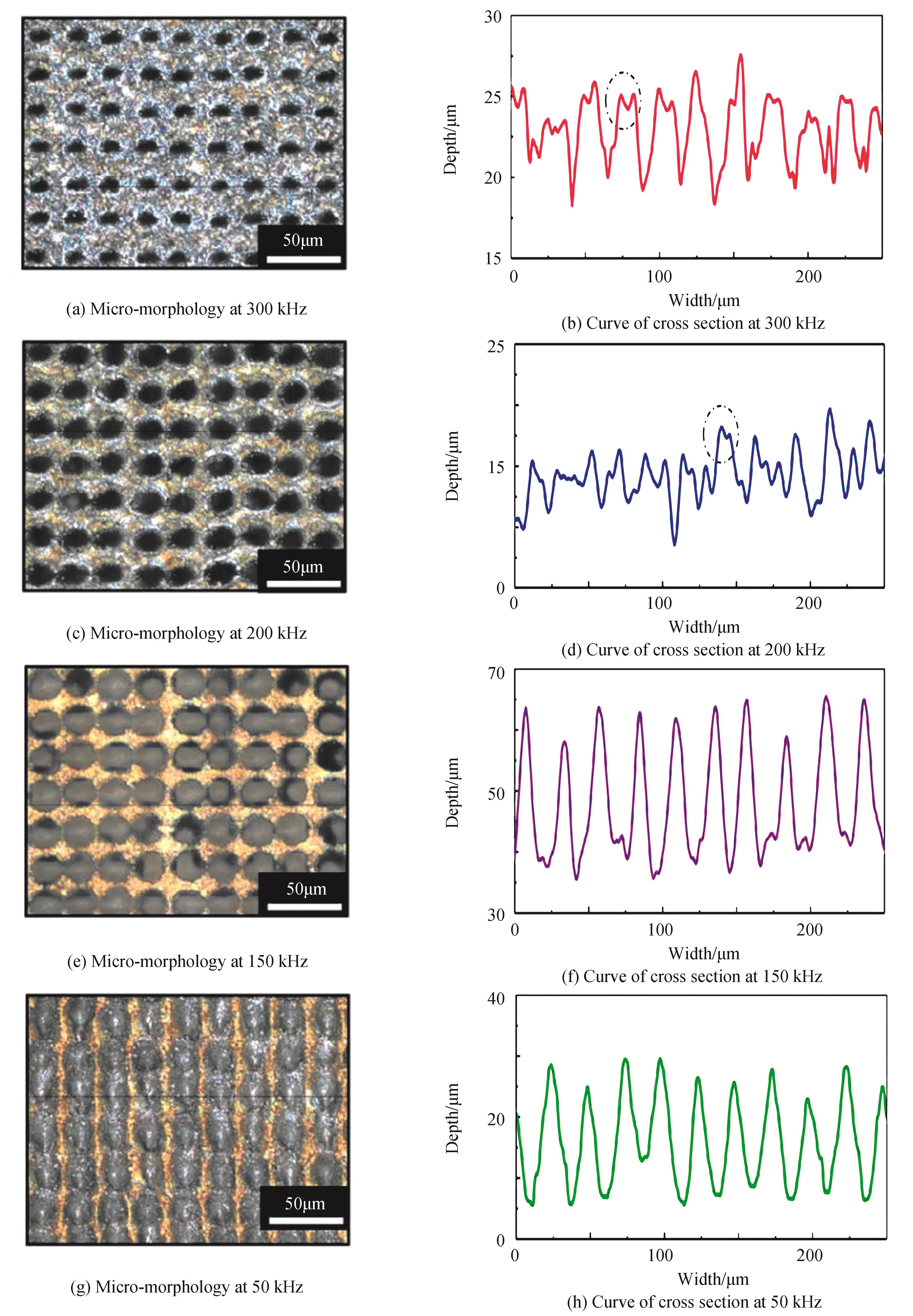 Micro-morphologies and corresponding curves of cross section of laser-textured polysilicon sample under different frequency