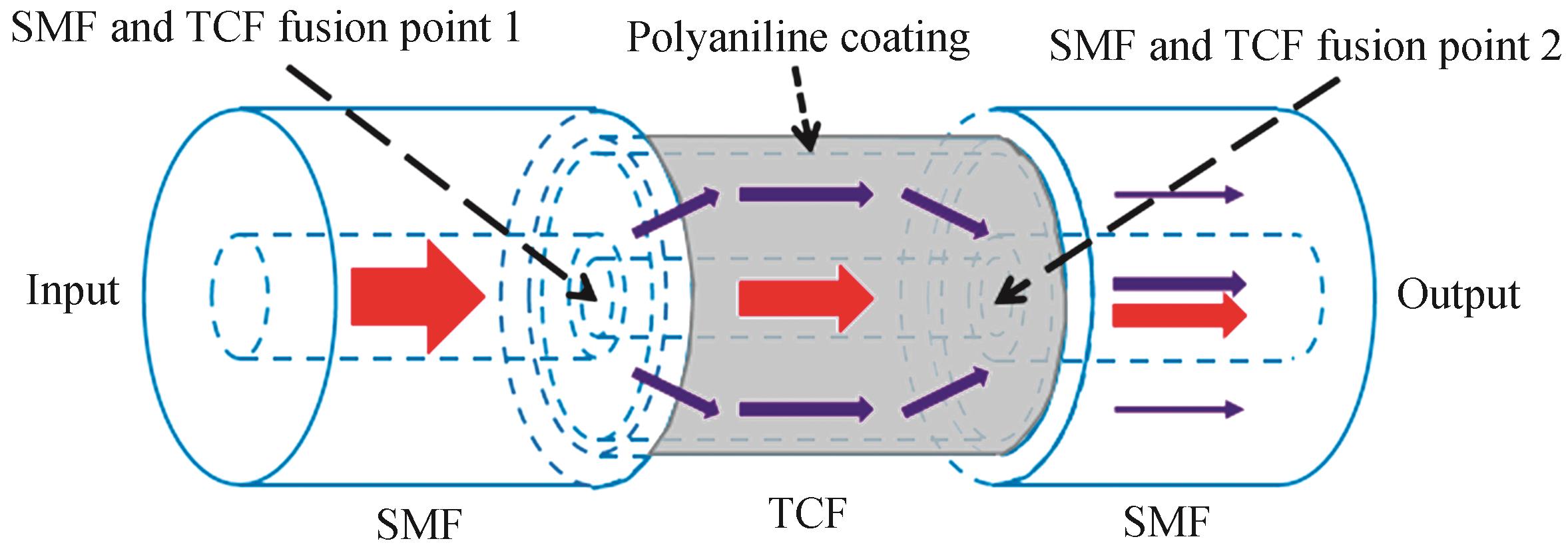 Schematic diagram of micro-nano fiber optic hydrogen ion concentration probe sensing structure