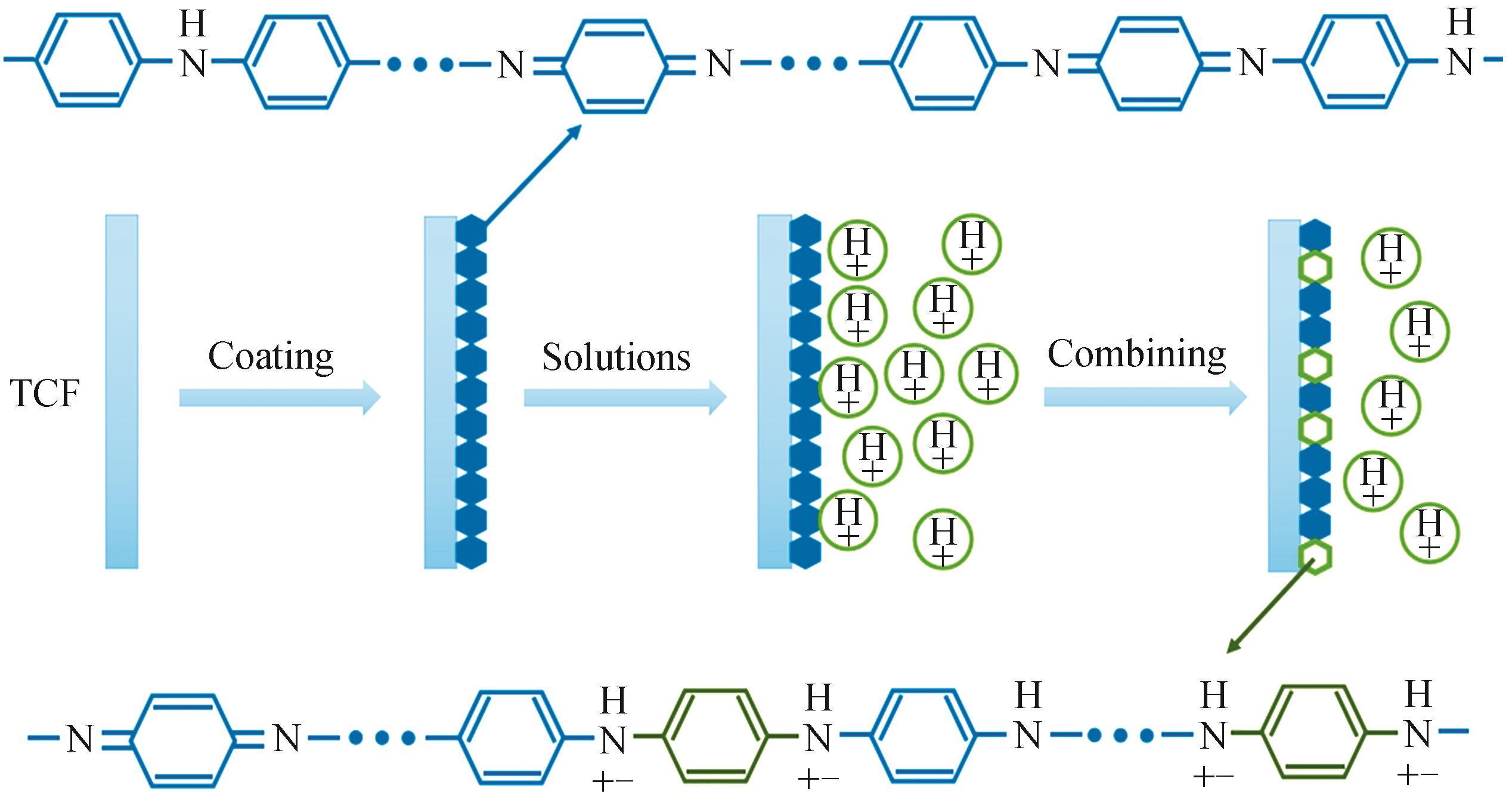 Structural changes in the main chain of polyaniline bound to hydrogen ions.
