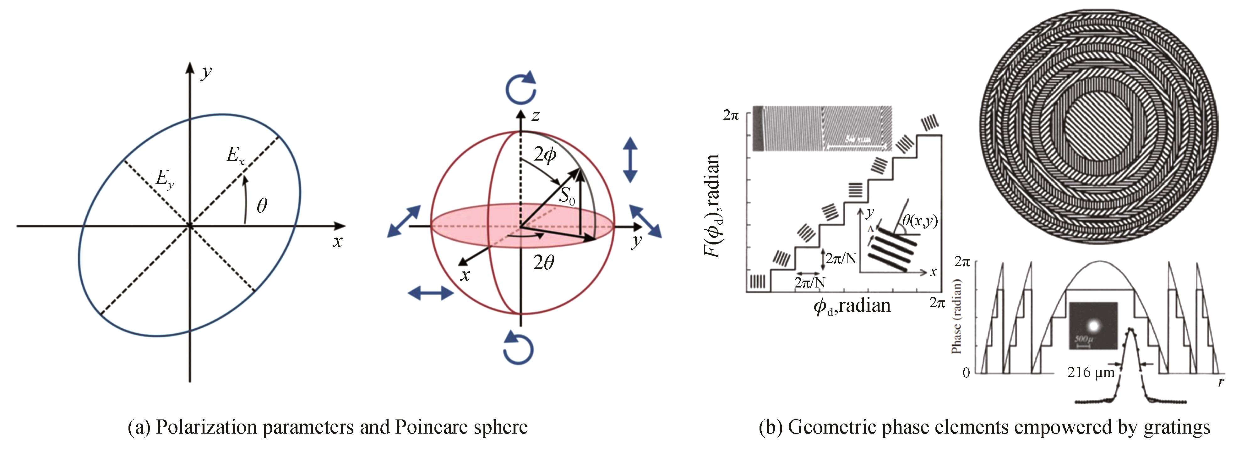 The schematic on the fabrication of polarization convertors and geometric phase elements［19］