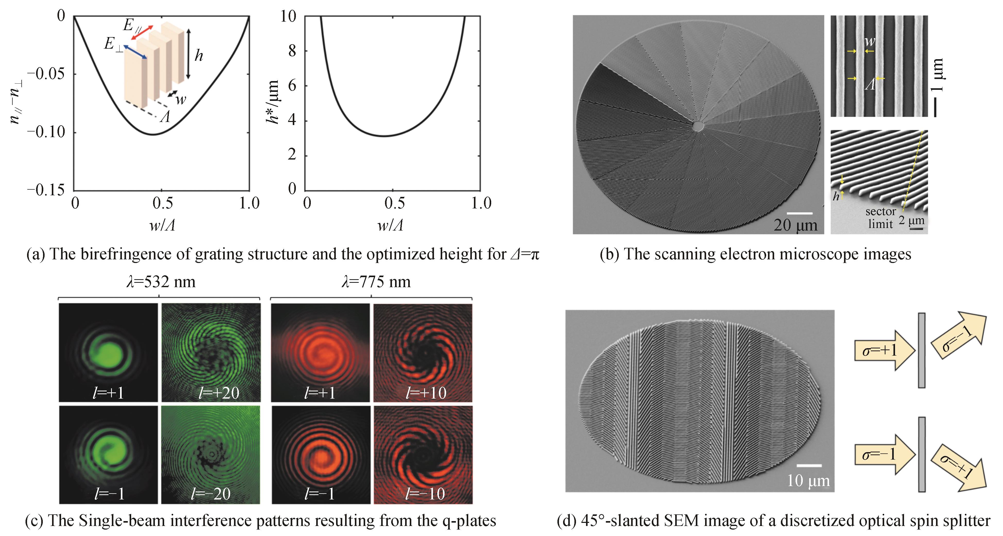 Femtosecond laser direct wiring of geometric phase elements［20］