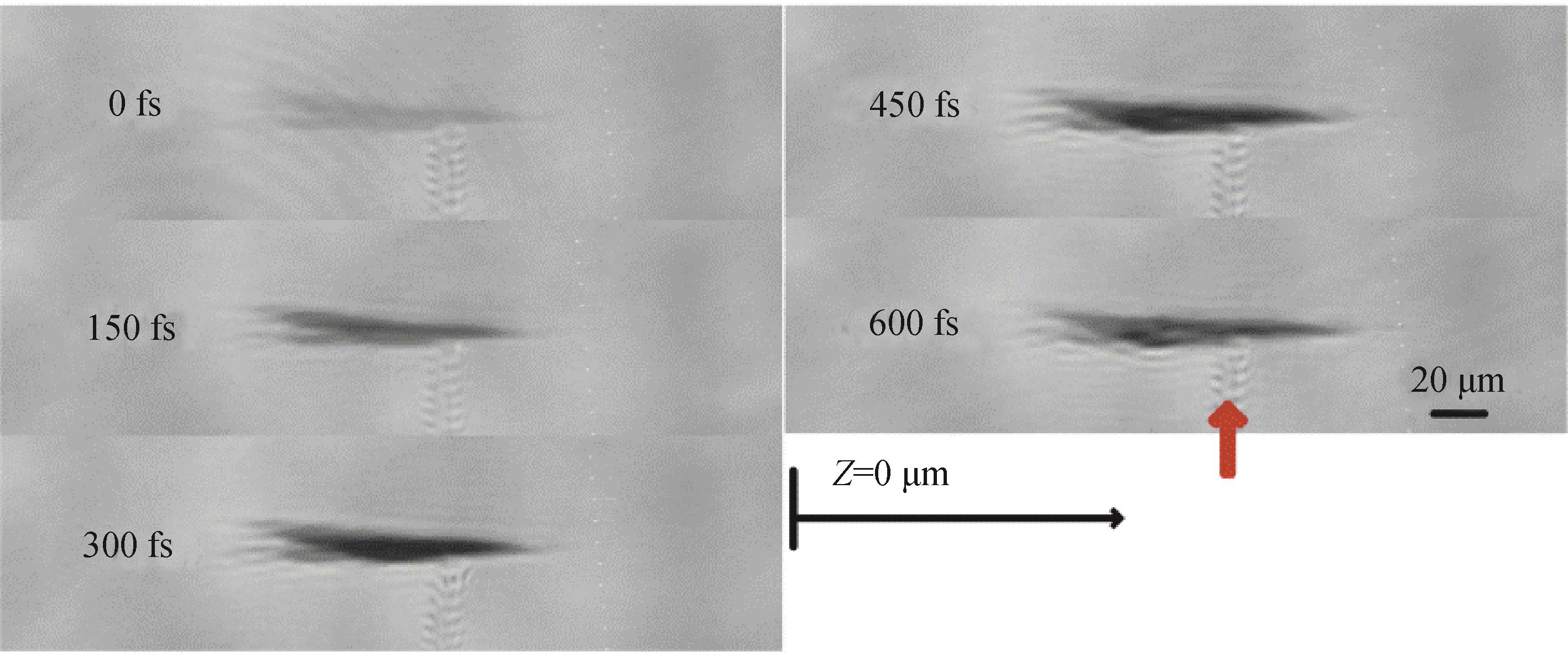 Time-resolved images of plasma induced by 16.0 μJ femtosecond laser in fused silica