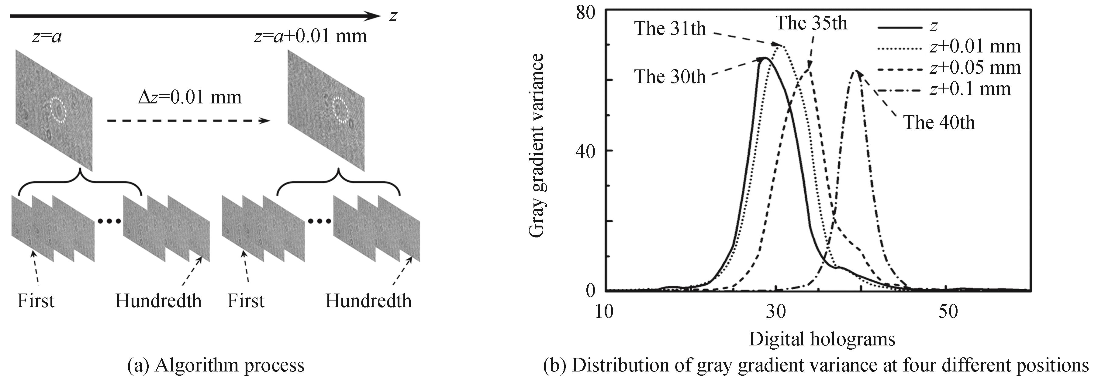 Gray gradient variance distribution of fusion hologram