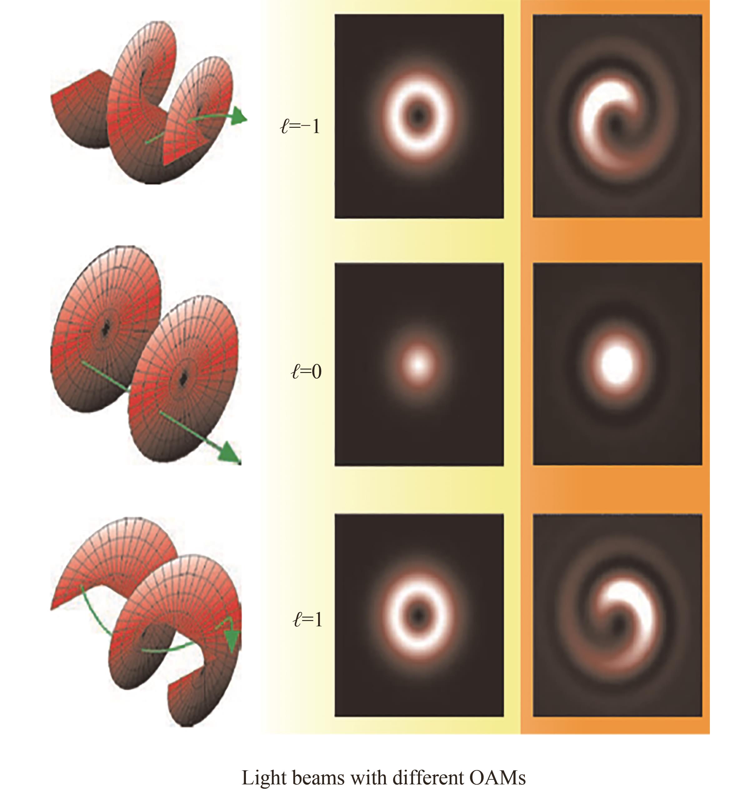 The spatial structure of vortex beams ［11］