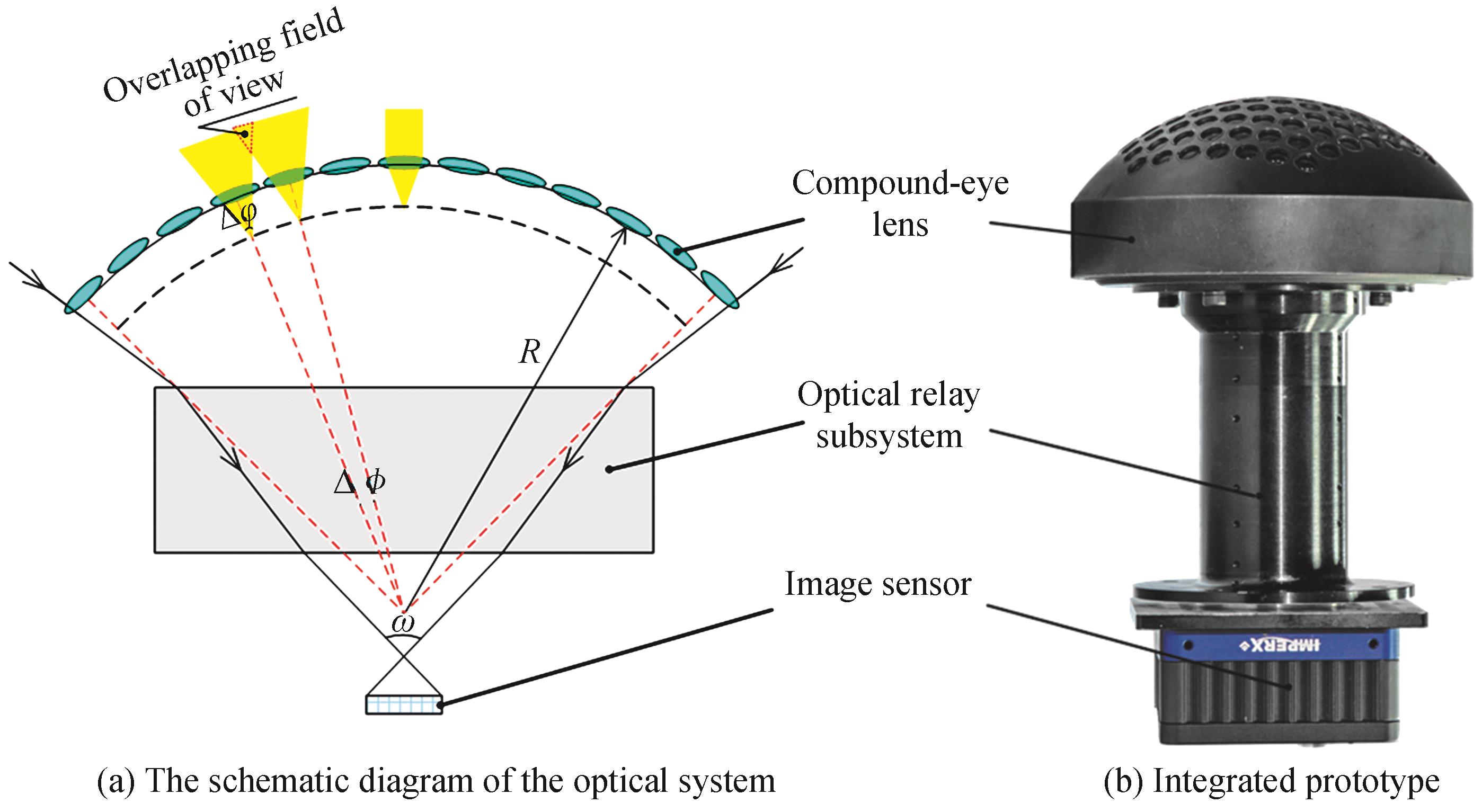 The biomimetic curved compound-eye imaging system
