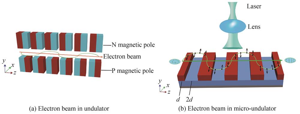 The electron beam trajectory in undulator and micro-undulartor