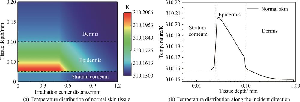 Terahertz photo-thermal response of normal skin tissue