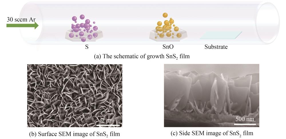 Growth schematic diagram and surface morphology of SnS2 film