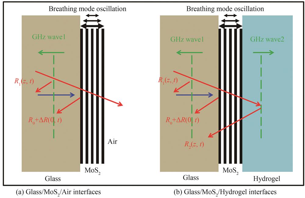 Schematic of all-optical generation and detection of GHz acoustic waves