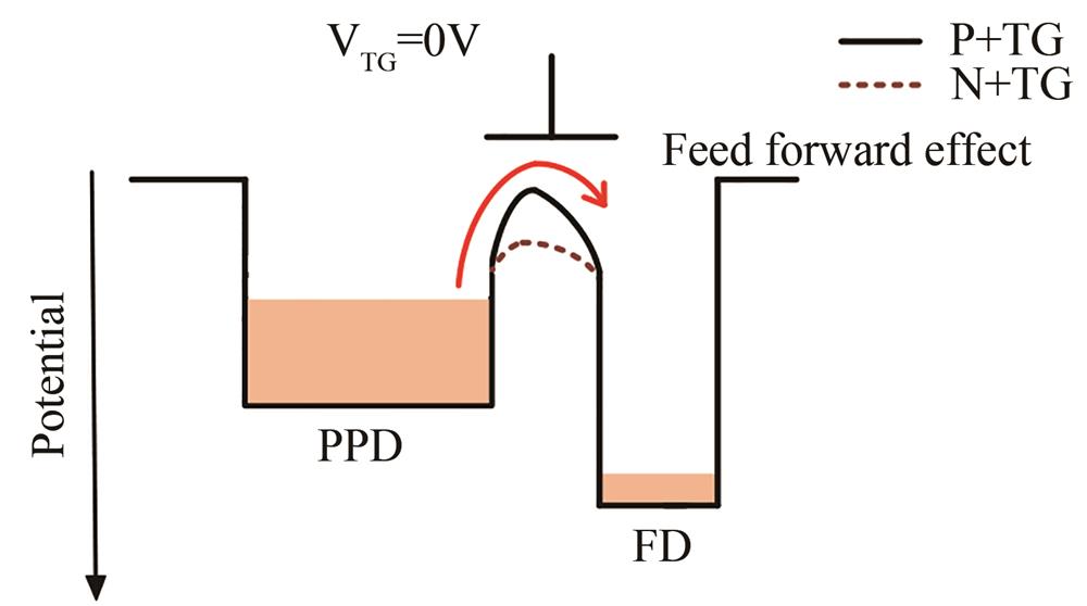 Potential diagram along the emission current path of P+ TG and N+ TG
